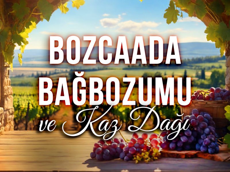 Bağ Bozumu Festivali ( Kaz Dağı, Assos, Kadırga Plajı ve Bozcaada Turu )