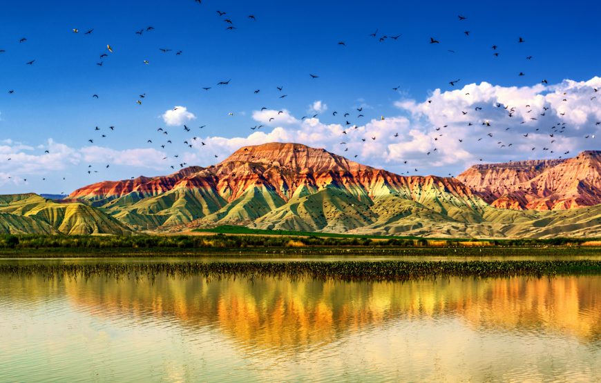 Beypazarı, Göynük, Taraklı, Nallıhan ( 27 Mart Hareket – 29 Mart Dönüş / Hüsnü’nün Bağ Evi’nde Akşam Yemeği ve Eğlence Dahil)