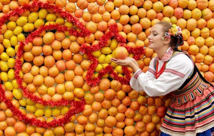 14. Adana Portakal Çiçeği Karnavalı ( 2 Nisan Hareket – 5 Nisan Dönüş / Adana, Tarsus, Eshab-ı Kehf, St Paul Evi, Danyal Hazretleri )