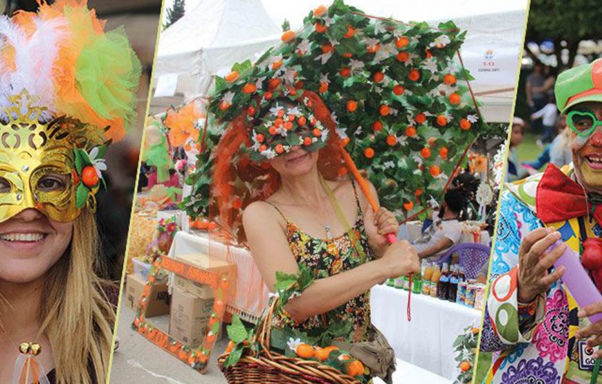 14. Adana Portakal Çiçeği Karnavalı ( 2 Nisan Hareket – 5 Nisan Dönüş / Adana, Tarsus, Eshab-ı Kehf, St Paul Evi, Danyal Hazretleri )