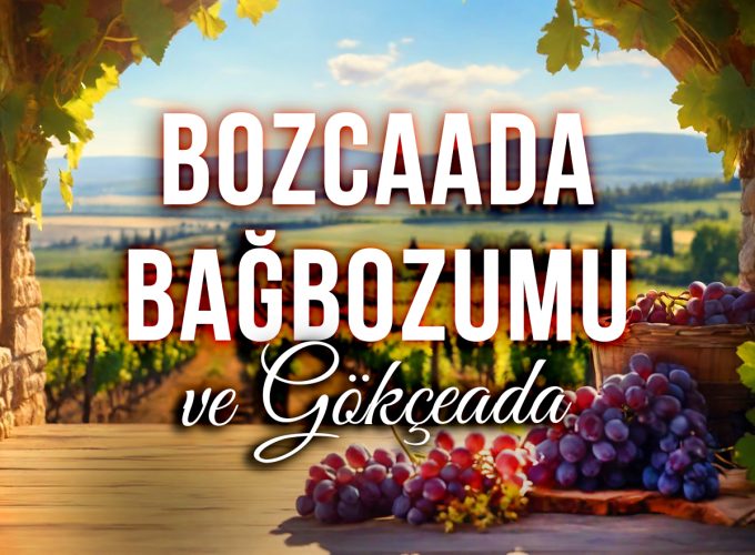 Bağ Bozumu Festivali ( Gökçeada, Kefalos Plajı ve Bozcaada Turu )
