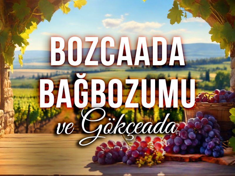 Bağ Bozumu Festivali ( Gökçeada, Kefalos Plajı ve Bozcaada Turu )