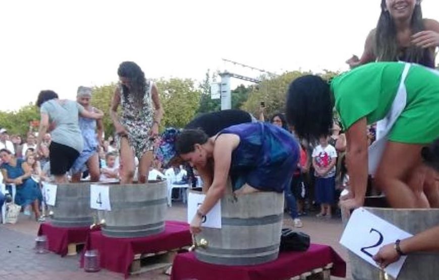 Bağ Bozumu Festivali ( Gökçeada, Kefalos Plajı ve Bozcaada Turu )