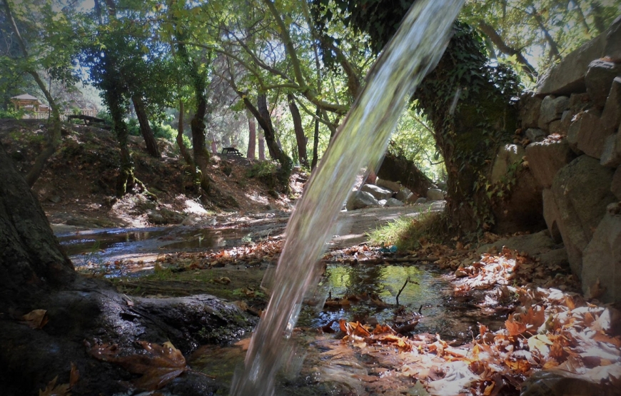 Ayvalık, Kozak Yaylası, Bergama ( 24 Nisan Hareket – 26 Nisan Dönüş )