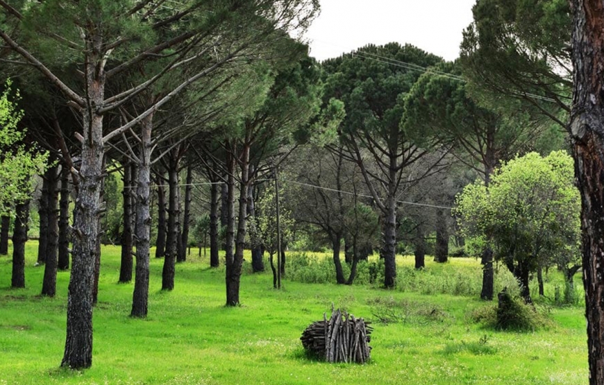 Ayvalık, Kozak Yaylası, Bergama ( 24 Nisan Hareket – 26 Nisan Dönüş )