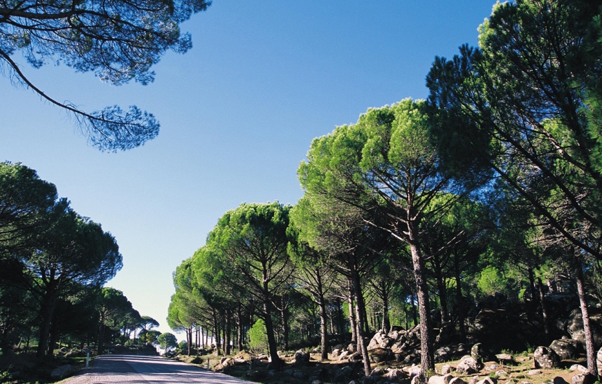 Ayvalık, Kozak Yaylası, Bergama ( 24 Nisan Hareket – 26 Nisan Dönüş )