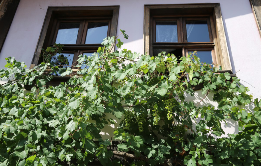 Misi Köyü, Trilye, Gölyazı, Mudanya ( Sabah Kahvaltısı Dahil )