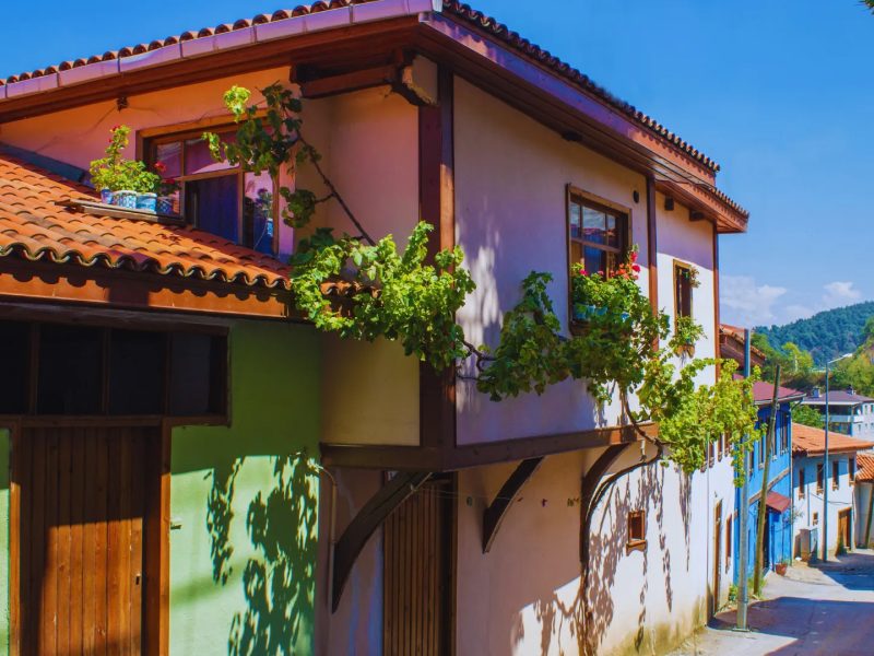 Misi Köyü, Trilye, Gölyazı, Mudanya ( Sabah Kahvaltısı Dahil )