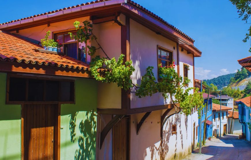 Misi Köyü, Trilye, Gölyazı, Mudanya ( Sabah Kahvaltısı Dahil )