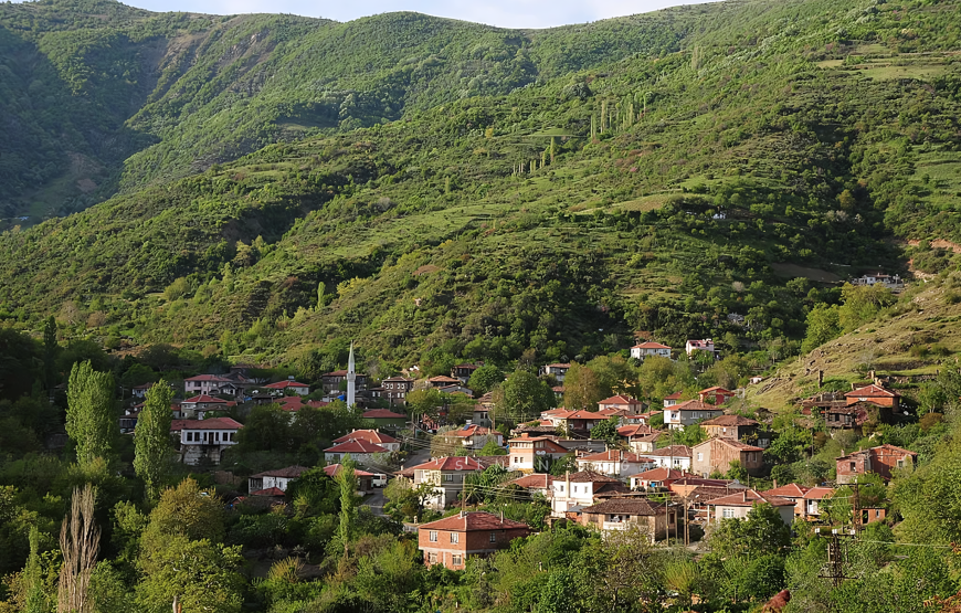 Şarköy, Mürefte Bağ Bozumu ve Uçmakdere ( Kahvaltı Dahil / 3 Ekim Hareketli )